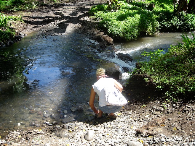 stream